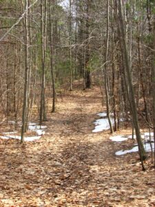 Abott Loop
