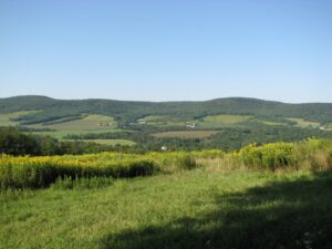 View from a field looking south-west at houses, farms, and fields along NY 38