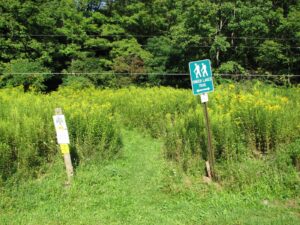 FLT signs at trailhead on Daisy Hollow Rd (South)
