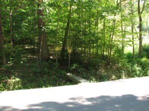 Footbridge at trailhead on Babcock Hollow Rd