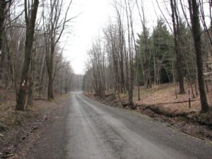 Odell Rd looking north at northern trailhead