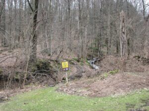 Stream at the end of Tone St