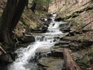 Waterfall on a stream west of Tone St