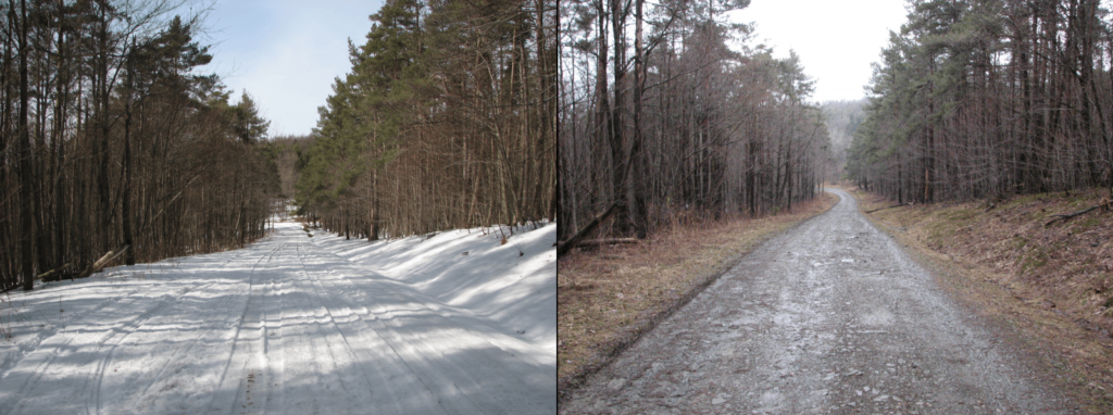 Looking north-west on Van Donsel Rd. Left: March 20, 2011. Right: April 20, 2011