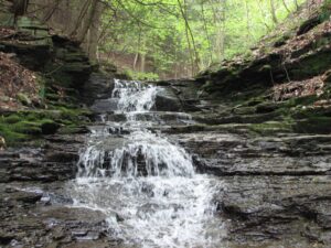 Waterfall on a stream between Snyder Hill Rd and W River Rd