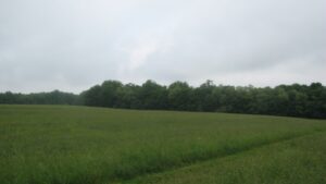 Middle of a field between Underwood Hill Rd and Hoxie Gorge Rd.