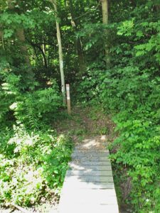 Foot bridge over ditch on Cheningo Solon Pond Rd