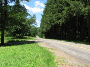 Looking north-west on Taylor Valley Rd at Cheningo day-use area