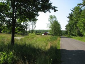 Small swamp/pond off Fred Wilcox Road in front of a red barn - FLT M25