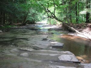 Bowman Creek west of NY 12 - FLT M25