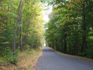 Griffin Rd
