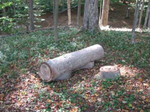 Ponder Log
