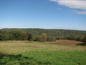 View from the benches