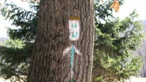 Happy Hiker Blaze