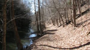 Cayuta Creek trail
