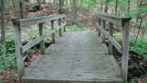 Wooden Bridge on FLT