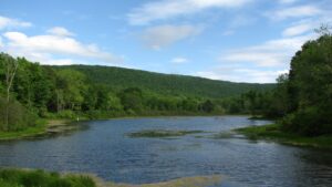 Pond near Texas Hollow Rd