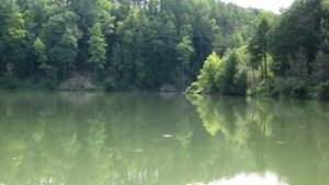 Small pond on the way to Watkins Glen