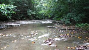 Ebenezer's Crossing