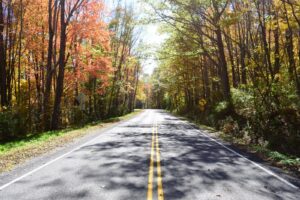 County Route 22