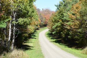 Maple Lane