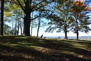 Vista and old cemetery near CR 22