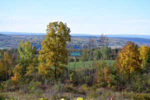 View from field south of Sugar Hill Road