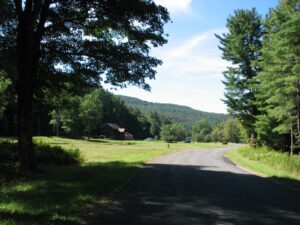 Sun and shade on Denning Rd