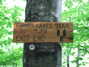 Eastern Terminus of the FLT