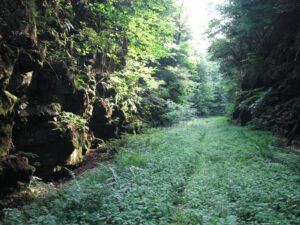 Rock Cut on Old O&W Railroad