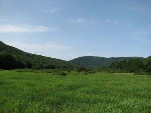 Large field near NY 10