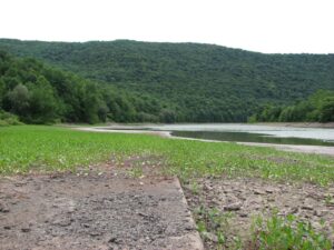 Old NY 10 - Road to Nowhere