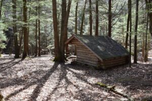 Moss Hill Lean-to (M13, CH1)