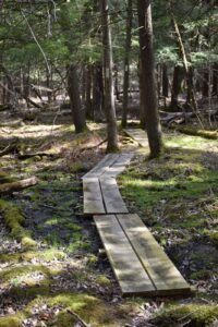 Spans across wet ground