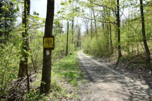 Bozak Road