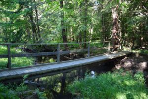 Mahlon's Bridge