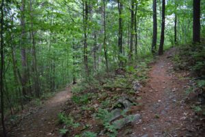 Switchbacks