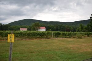 Parking along CR 88