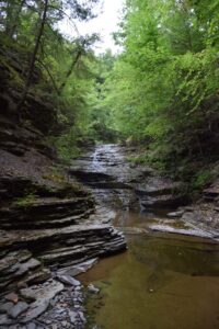 Waterfall in Mitchellsville Creek