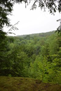 Rain at overlook on Mitchellsville Creek