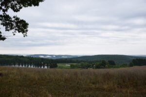 View from bench shelter