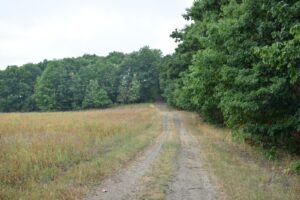 Farm tractor path across a field