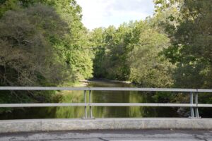 Cohocton River on Knight Settlement Road