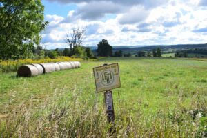 Trailhead at Cochrane Road