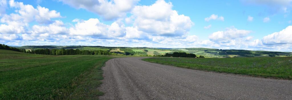 Panoramic View