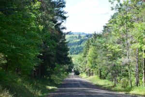 McCaddam Road