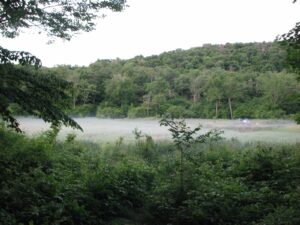 Fog blankets the field in front of Beaver Meadow Lean-to.