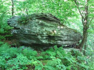 Large boulder east of Beecher Lake overlook
