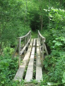 Foot bridge across a stream off Shindagin Hollow Rd