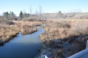 Stream flowing under McCaddam Rd at the intersection of Craig Rd - FLT M11